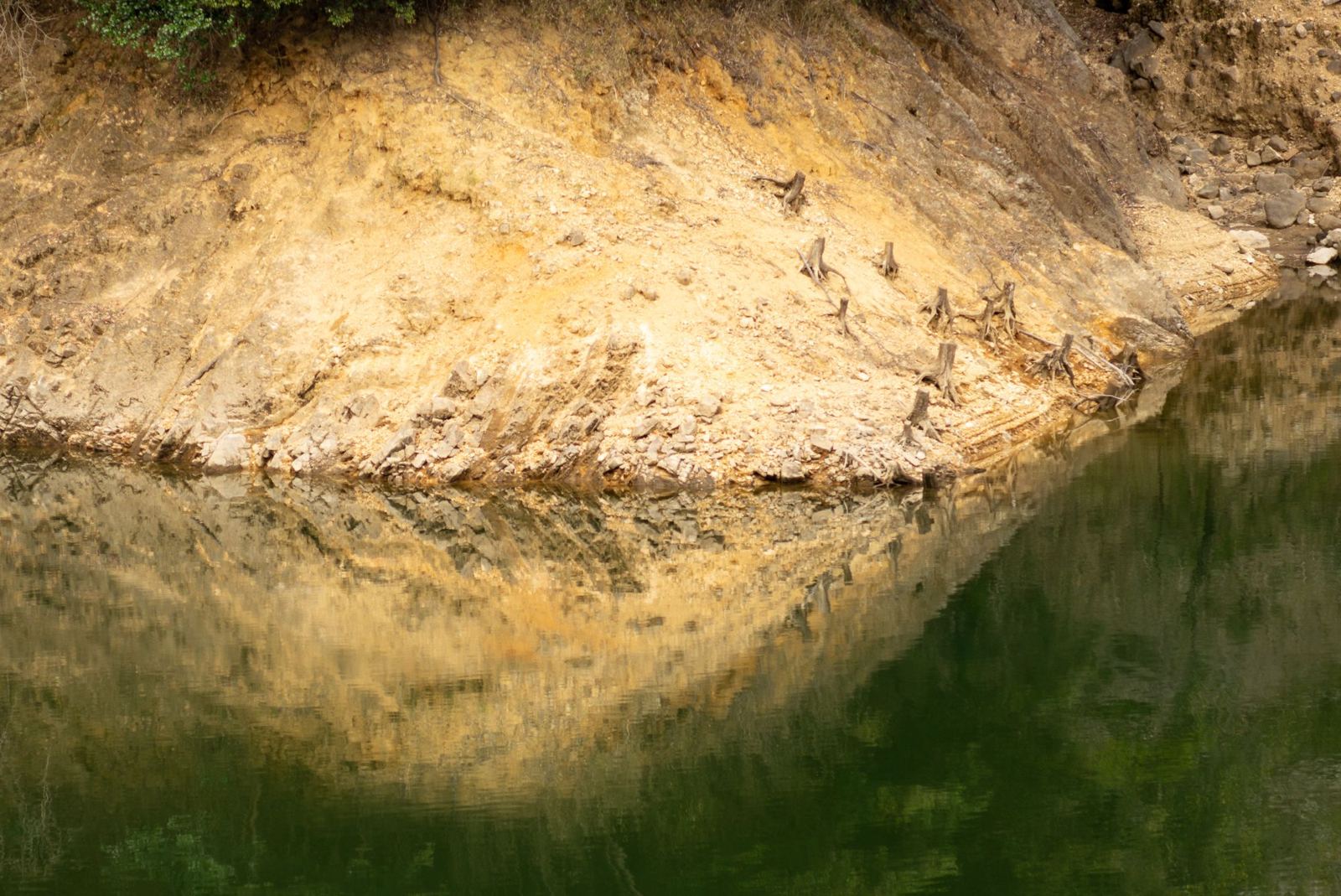 A sunlit reservoir bank reflected in green water